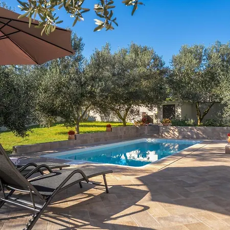 Canziana By Briskva *