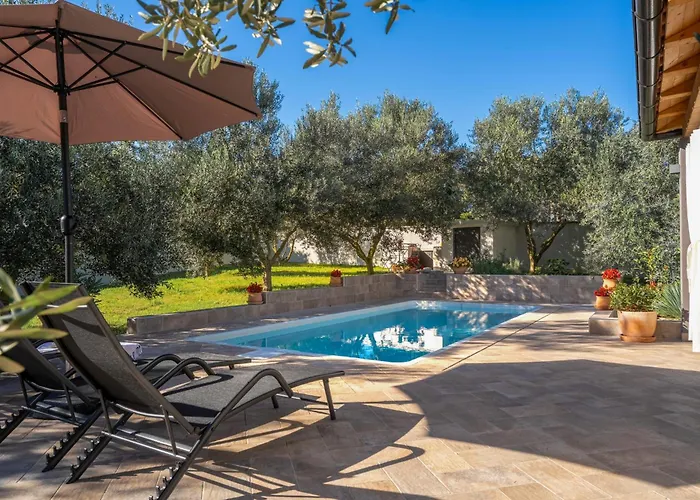 Canziana By Briskva *